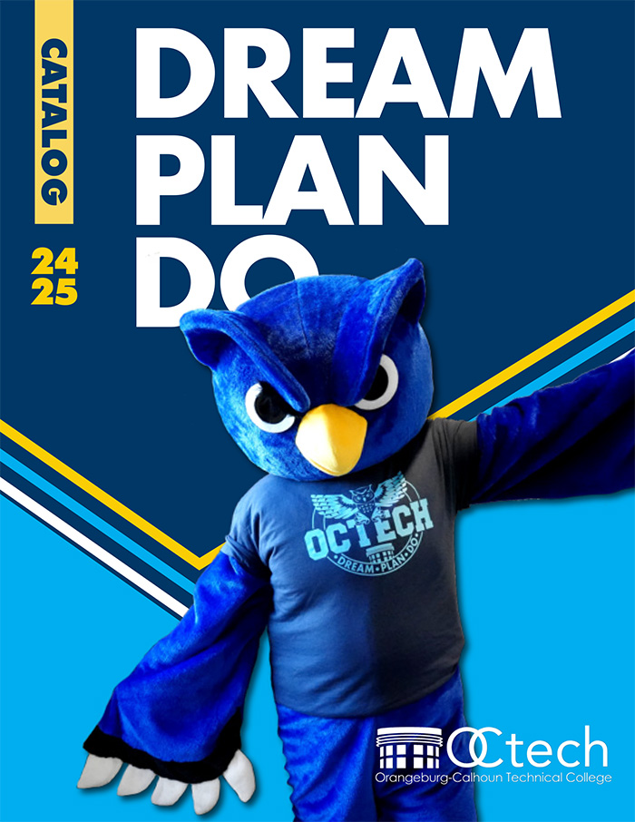 Catalog cover Dream Plan Do with mascot