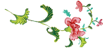 FLOWER DRAWING